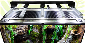 Vivarium Lighting & Ventilation Built For Harvard Museum of Natural History