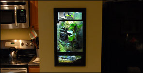 Wall Mounted Vivarium