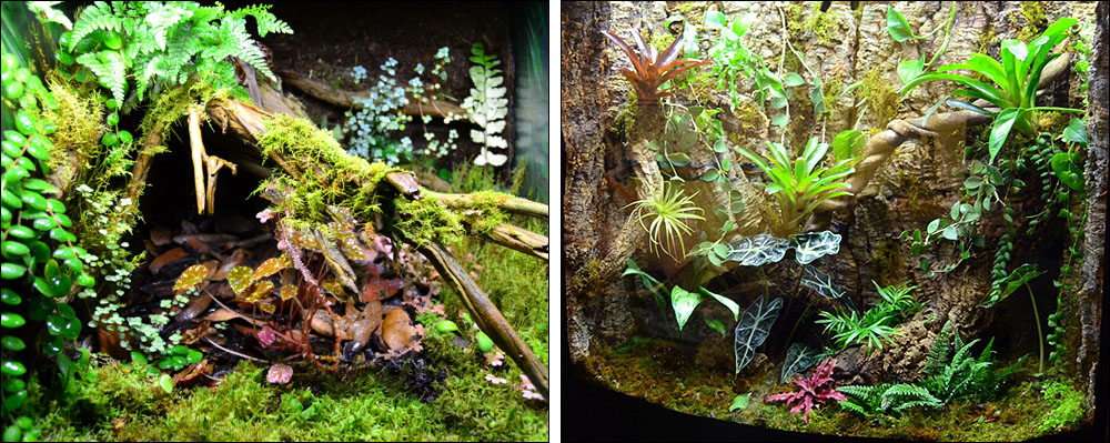 NEHERP Custom Vivarium Builder