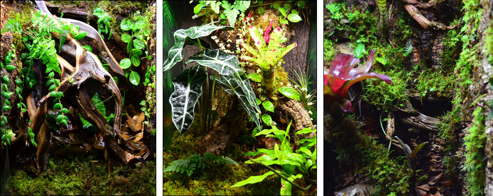 NEHERP Custom Vivarium Builder