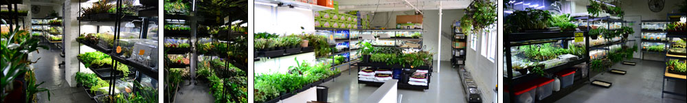 NEHERP Custom Vivarium Builder