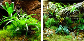 Simple Custom Vivariums