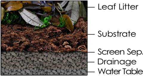 Vivarium Substrate Layers