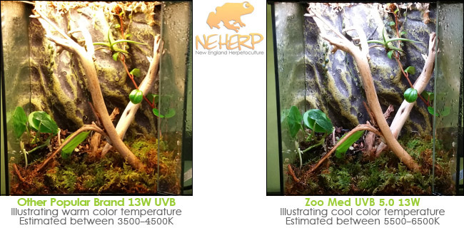 Zoo Med or Exo Terra UVB CFL