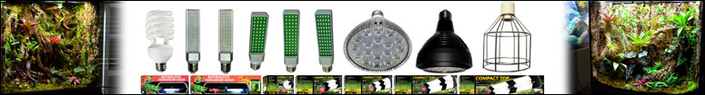Vivarium Lighting Kits