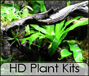 Heavy Duty Vivarium Plant Kits For Geckos, Snakes, and Lizards