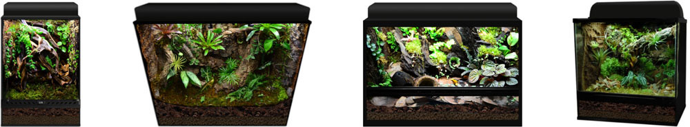 Vivarium Examples