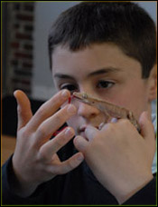 Hobbyist hand-feeding his Crested Gecko