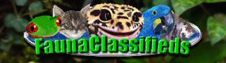 Fauna Classifieds