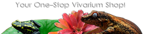 Your 1-Stop Vivarium Shop!