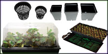 Horticultural Propagation Supplies For Terrarium Plants