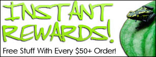 Instant Rewards