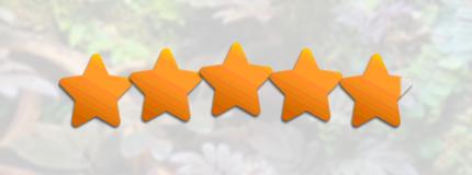 Feedback & Reviews