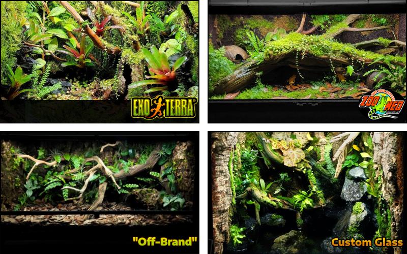 Bioactive Terrarium Designers Who Customize Exo Terra, Zoo Med, Aqueon, Zilla, Tetrafauna, and Custom Glass Tanks