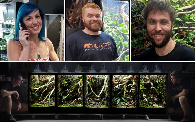 Meet The Professional Team Of Vivarium & Exhibit Designers At NEHERP
