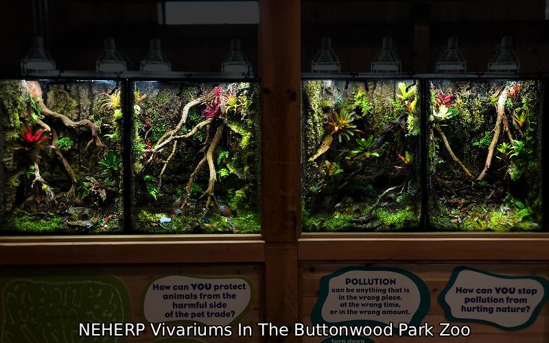 Four dart frog exhibits designed for the Buttonwood Park Zoo