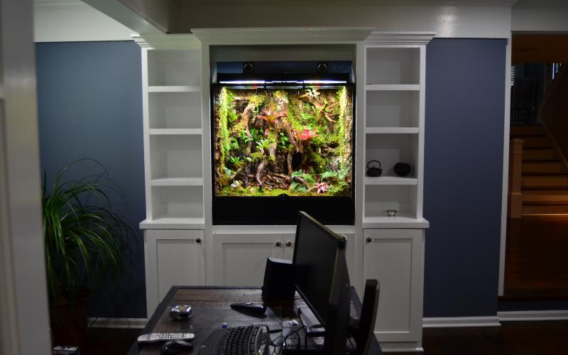 Custom residential vivarium installation with automated thunder, lightning, rain, and wind effects