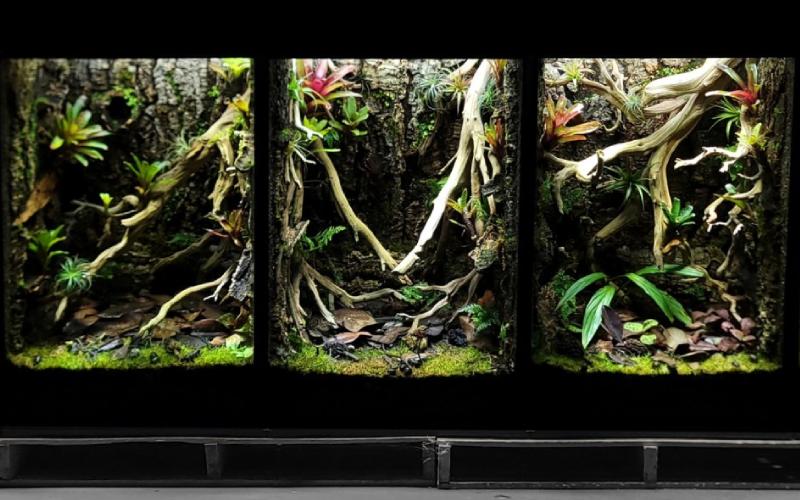 Custom Designed Vivarium Exhibits Ready To Be Delivered To A Zoo