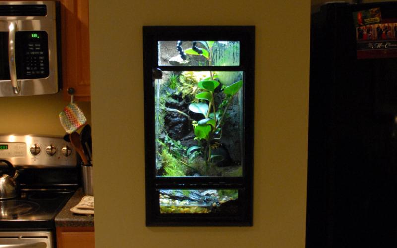 Some of our earliest vivarium work! Flush-mounted into a wall way back in 2008/2009. Featured automatically sterilized drainage, automated misting, and a completely fly-proof construction. Our vivariums are better these days, but we loved the 'picture frame' concept.