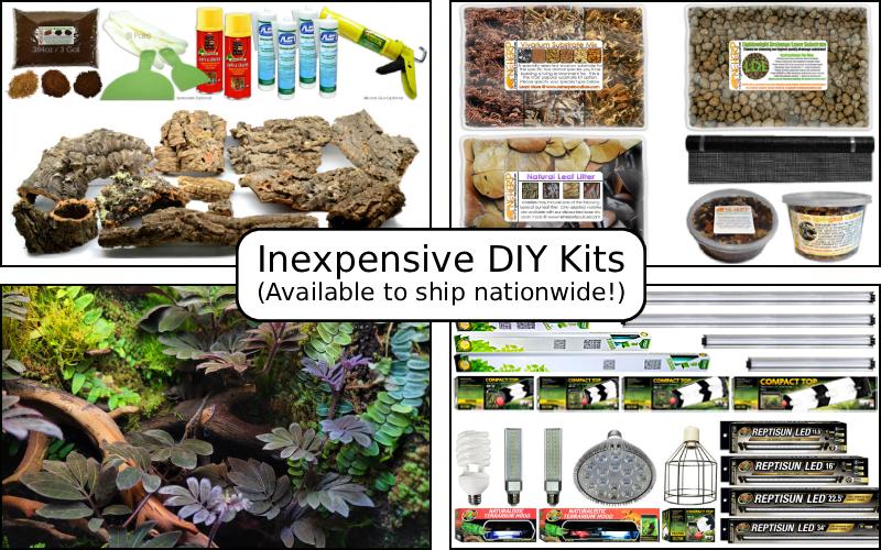 Inexpensive DIY Bioactive Vivarium Design Supplies