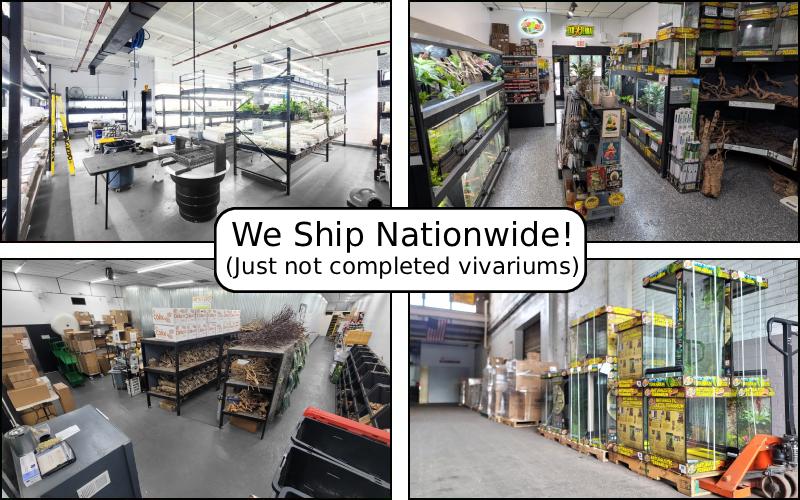 Vivarium Design For Distant Customers