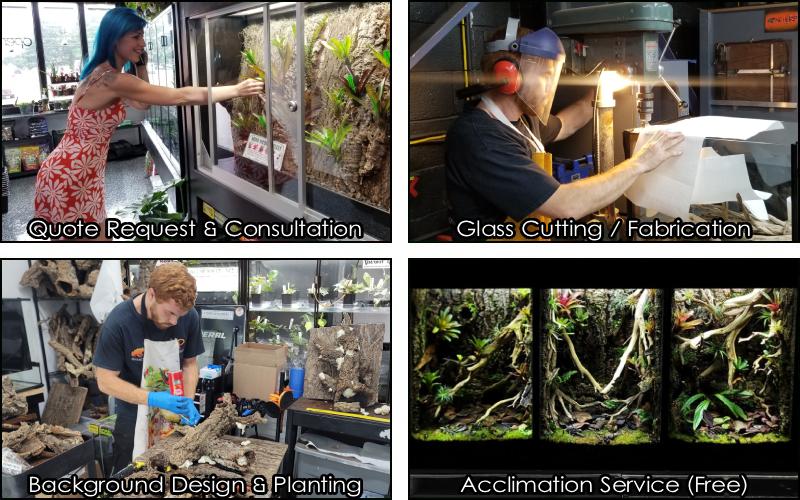 About Our Process Of Designing Terrariums And Vivariums In New England, CT, and New York