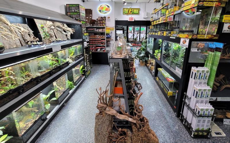 Our walk-in showroom in Connecticut has a pre-built live vivarium ecosystems ready to go - plus thousands of awesome DIY vivarium building supplies. Interested? Stop by the shop!