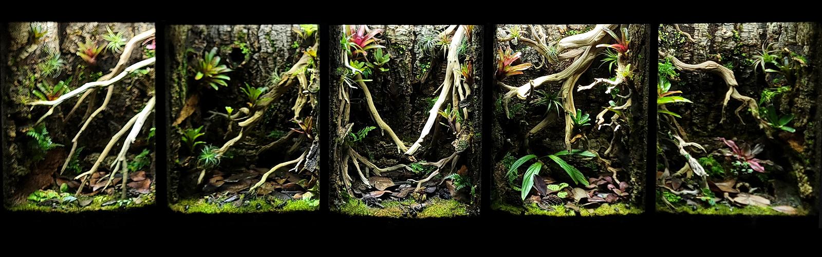 Professional Bioactive Terrarium Designs + Products For Zoos