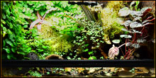 Vivarium Substrates