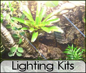 Vivarium Lighting Kits