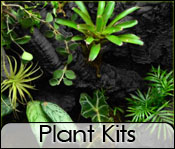 Customizable Vivarium Plant Kits