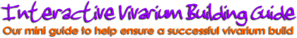 Banner: Building a long lasting vivarium using professional techniques & supplies
